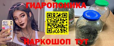 spice Заводоуковск